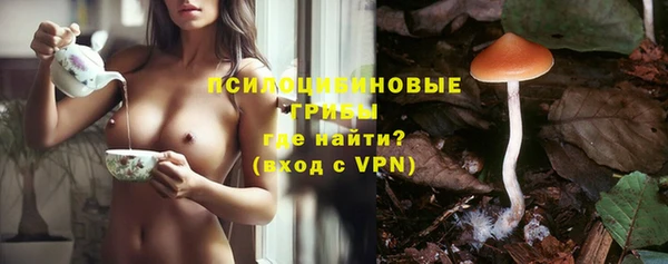 прущий лед Анива