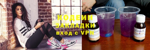 прущий лед Анива