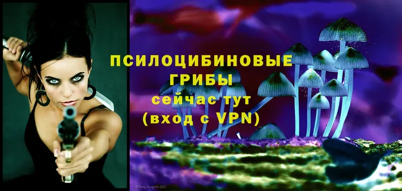 Псилоцибиновые грибы Psilocybe  blacksprut рабочий сайт  Рязань  сколько стоит 